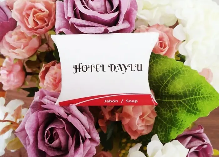 Hotel Daylu 2*